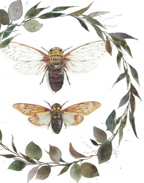 Original Cicada Painting picture
