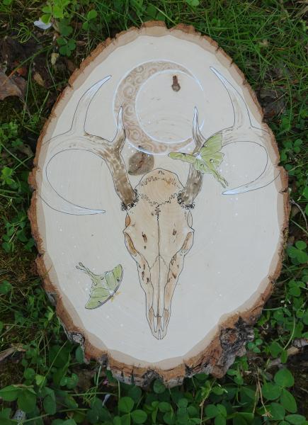 Deer Skull and Luna Moth Wood Round