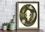 Grey Fox Skull - 11x14 Art Print