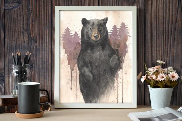 Black Bear - 11x14 Art Print