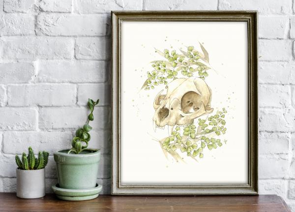 Bobcat skull - 8x10 Art Print picture