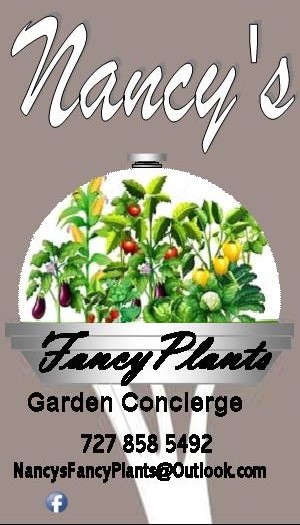 Nancy's Fancy Plants