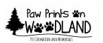 Paw Prints on Woodland