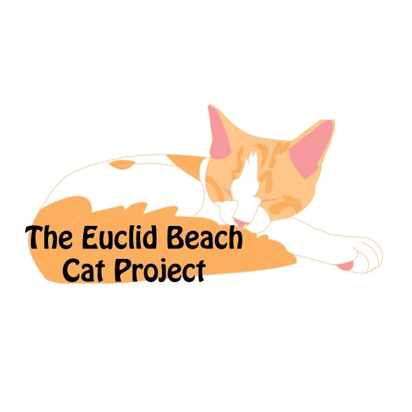 Euclid Beach Cat Project