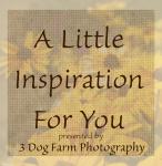 3 Dog Farm Photography