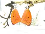 Butterfly wings earrings Lacewing natural