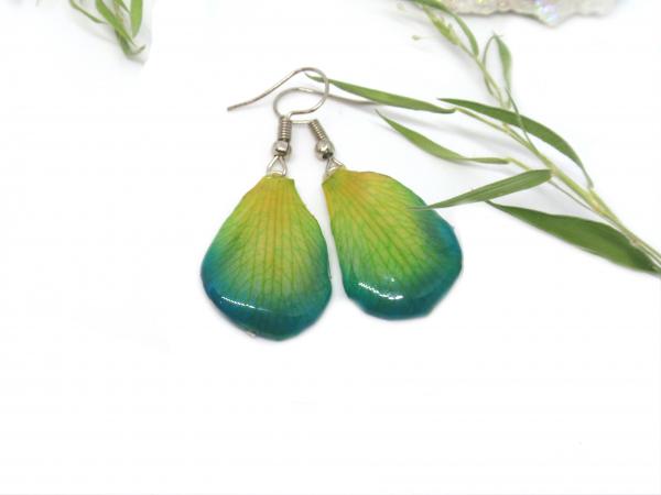 Real Orchid Petals Botanical Earrings picture