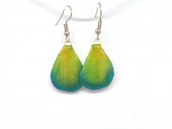 Real Orchid Petals Botanical Earrings