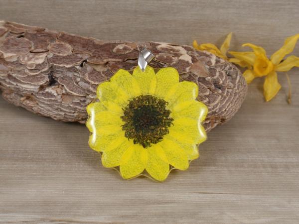 Real Sunflower Necklace Pressed Flower jewelry picture