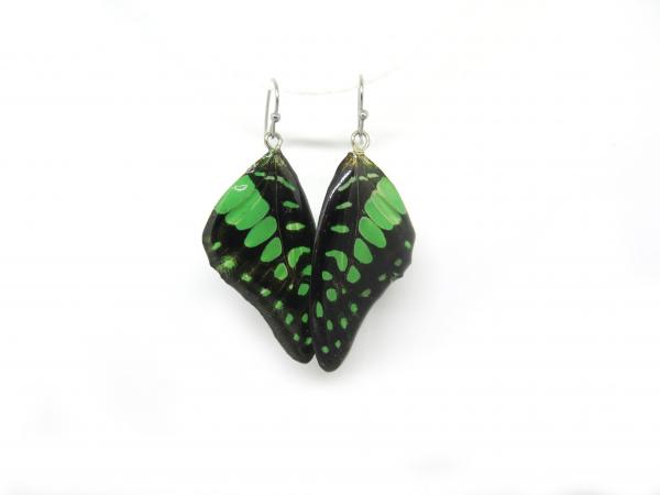 Real Butterfly wings earrings Green picture