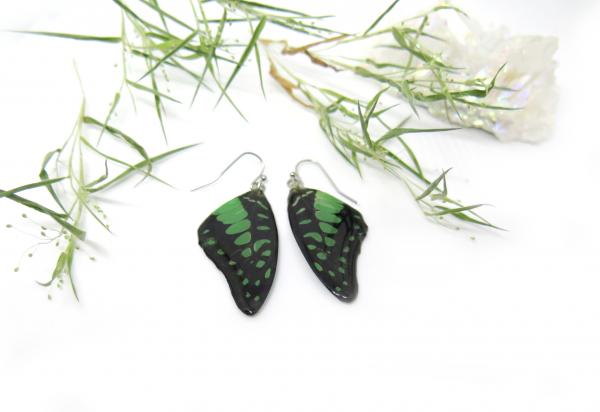 Real Butterfly wings earrings Green picture