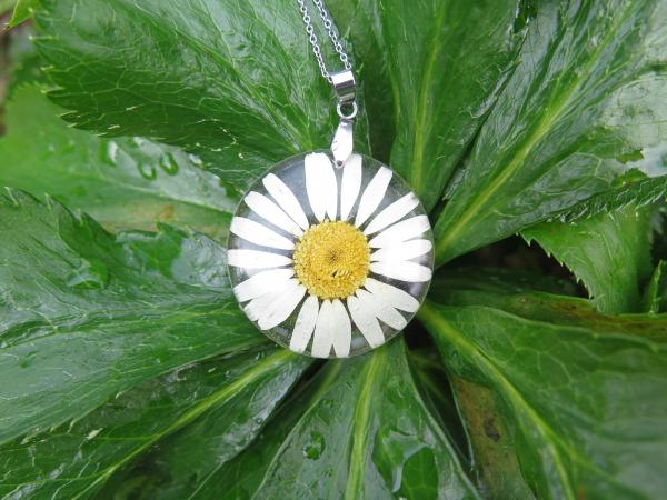 Real Daisy Necklace, Birth Month flower April picture