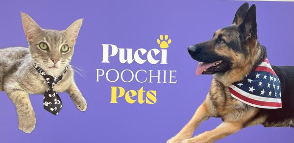 PUCCIPOOCHIE LLC, Dog & Cat Pet Products