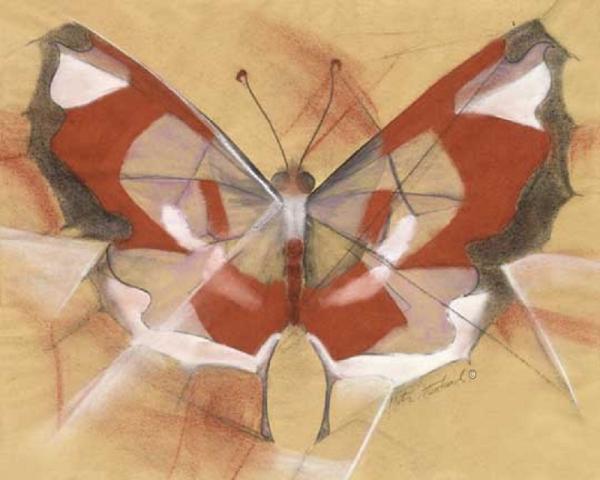 Butterfly Drawing picture