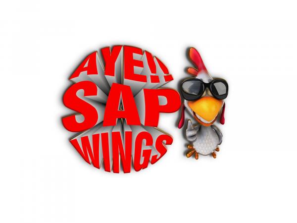 Aye Sap Wings LLC