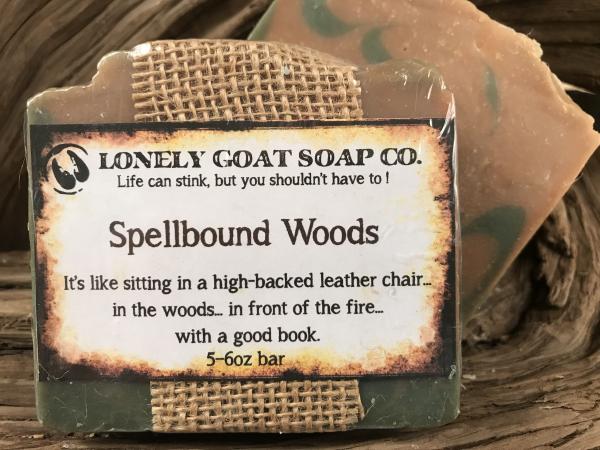 Spellbound Woods