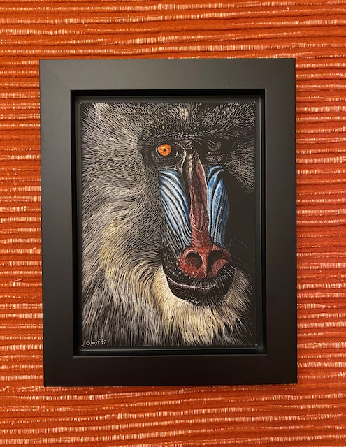 Magnificent Mandrill picture