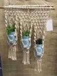 mason jar plant hanger