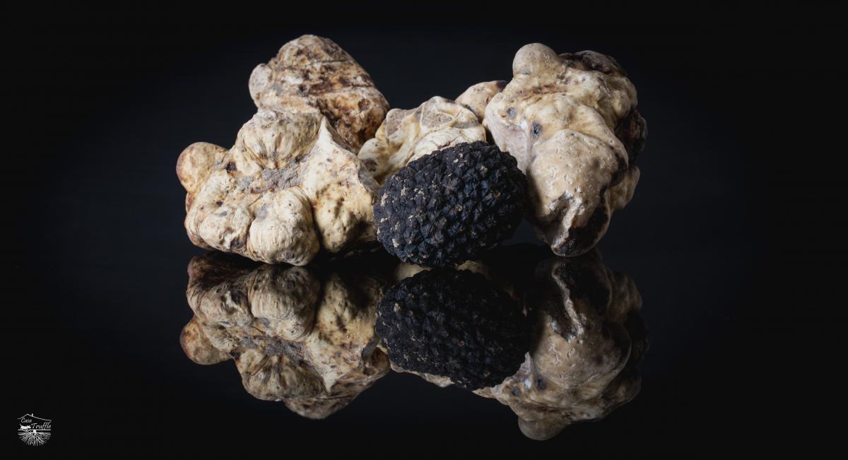 Fresh Truffles Mixed White & Black picture