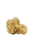 Fresh White Truffles (3 oz)