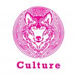 Culture Usa