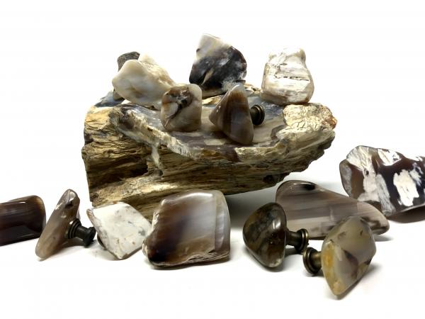 Petrified Wood Drawer Pulls