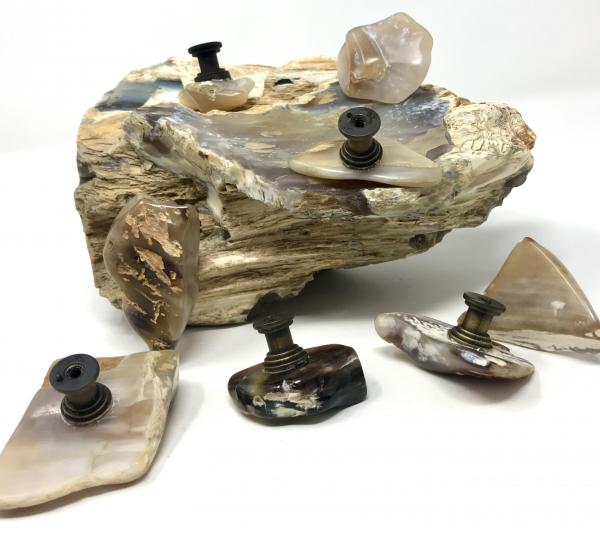 Petrified Wood Drawer Pulls picture