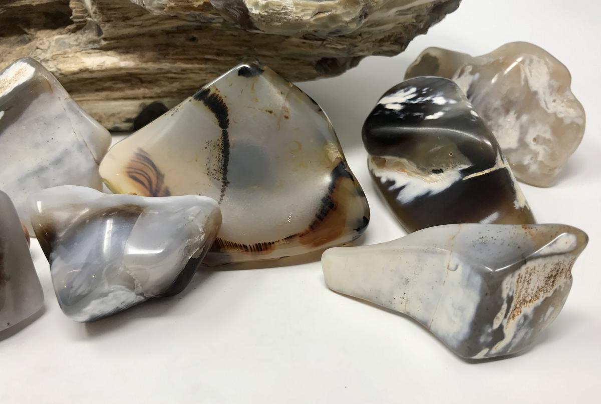 Petrified Wood Drawer Pulls picture