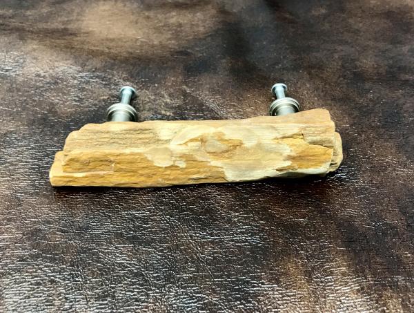Petrified Wood Drawer Pull picture