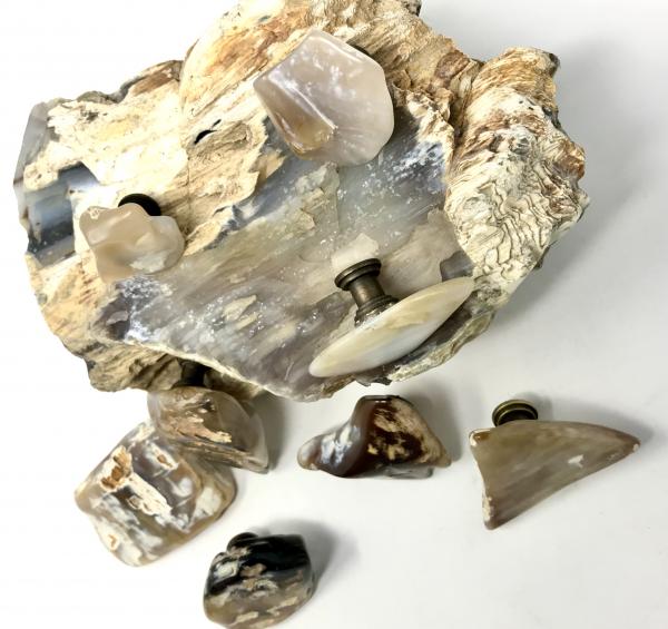 Petrified Wood Drawer Pulls picture