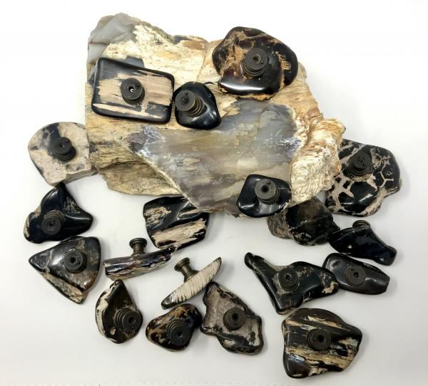 Petrified Wood Drawer Pulls picture