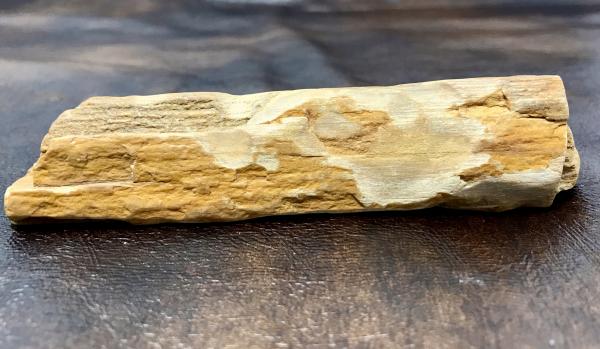 Petrified Wood Drawer Pull