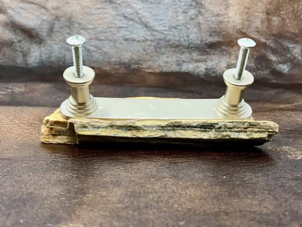 Petrified Wood Drawer Pull picture