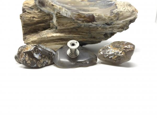 Petrified Wood Drawer Pulls picture