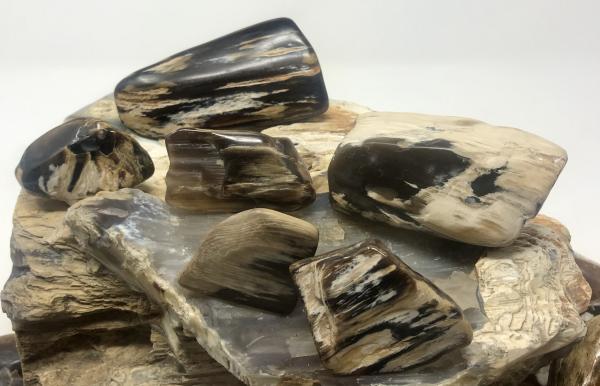 Petrified Wood Drawer Pulls picture