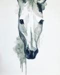 White horse