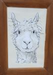 ALPACA CREATIONS