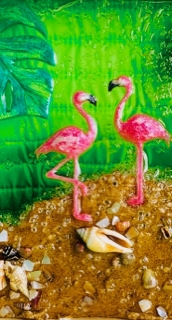 Flamingos 5
