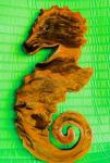 Seahorse 2
