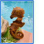 Seahorse 2 picture