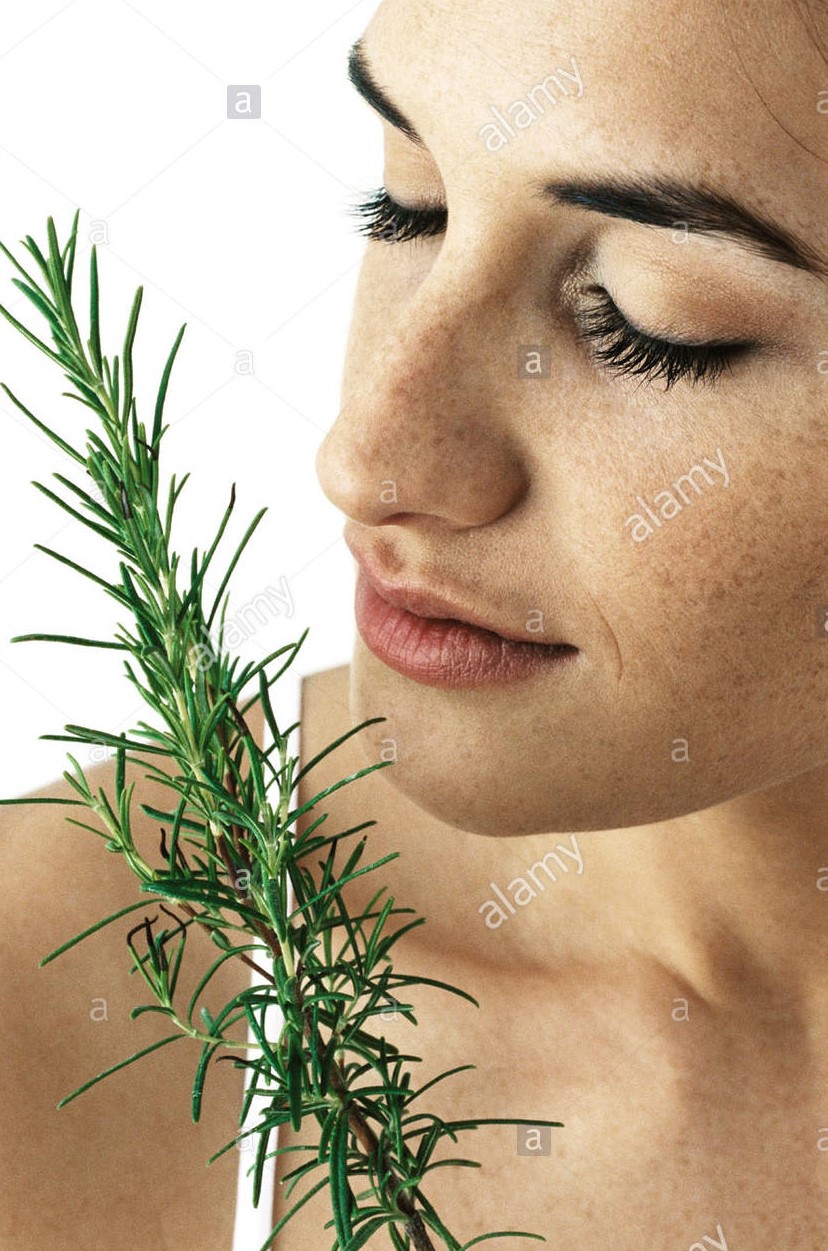 CLARITY (Coconut Milk Body Lotion/Sage-Rosemary) 8 Oz picture