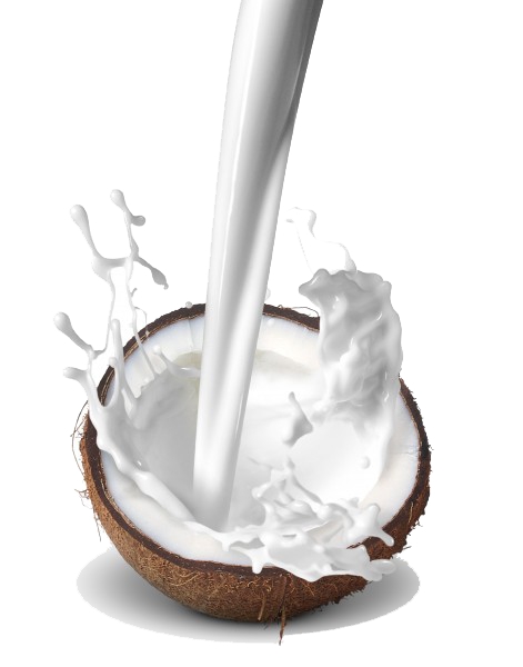 Coconut Milk Revitalizing Rich Day Creme (Non-scented) 4 Oz picture