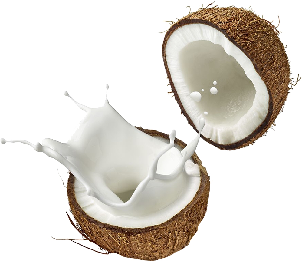 Coconut Milk (Mint & Tea Tree) Revitalizing Rich Day Creme/ 4 Oz picture