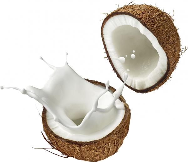 Coconut Milk (Mint & Tea Tree) Revitalizing Rich Day Creme/ 4 Oz picture