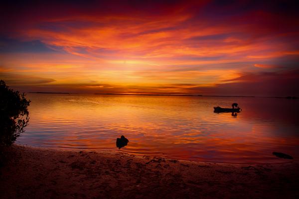 Pink Skies at Night