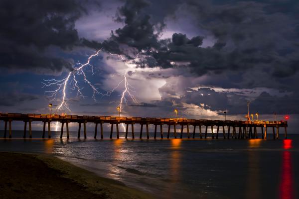 The Venice Pier picture