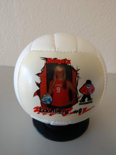 Mini Volleyball picture