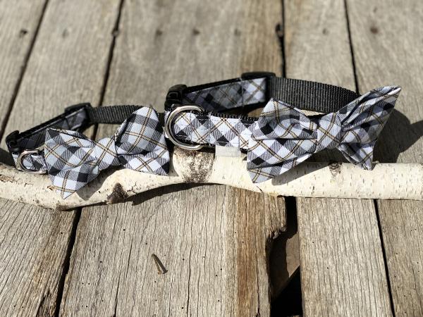 Ozzy Pawsbourne Fabric/Nylon Collar picture