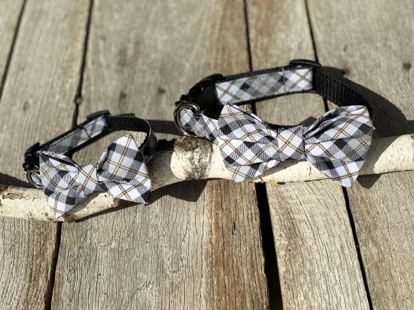 Ozzy Pawsbourne Fabric/Nylon Collar picture