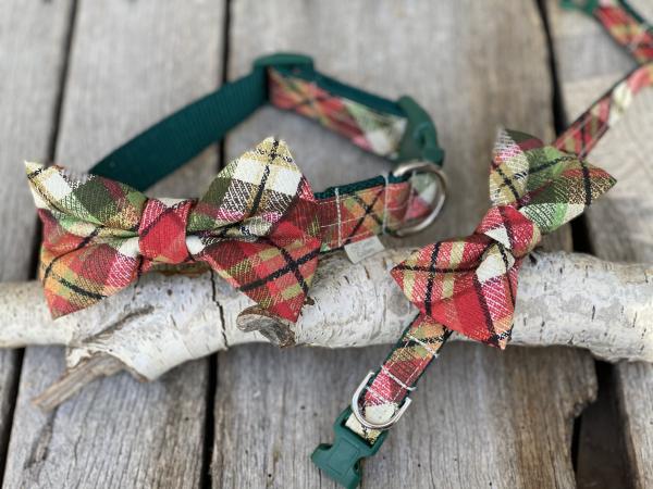 Glad Plaid Fabric/Nylon Collar picture